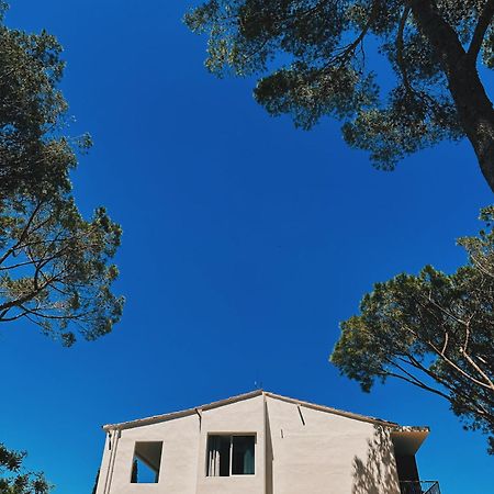 Can Romy Appartement T2F A 20M De La Plage De Cala Montgo L'Escala Exterior photo
